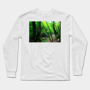 Scenery from Sarnano with the path to Cascata del Pellegrino with river, rocks, tree, trunks, greenery Long Sleeve T-Shirt